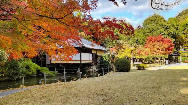 紅葉に彩られた日本庭園 紅葉に彩られた日本庭園 日本庭園,紅葉,秋の写真素材