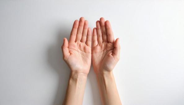 白背景で手の平を見せる女性の手元 白背景で手の平を見せる女性の手元の写真