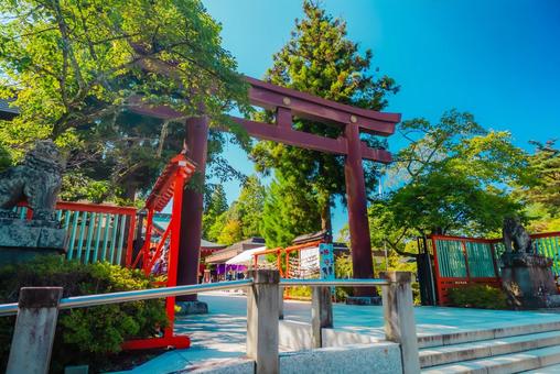 【宮城】宮城県護国神社 2025 【宮城】宮城県護国神社 2025 宮城,仙台,城跡の写真素材