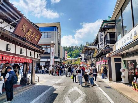 成田山新勝寺の表参道の賑わい 成田山新勝寺の表参道の賑わいの写真