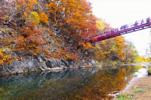 晩秋の定山渓温泉 定山渓温泉,秋,二見吊り橋の写真素材