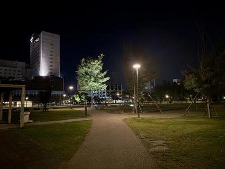 福井中央公園　福井城跡の工事　 夜の公園,福井中央公園,福井県の写真素材