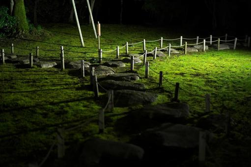 夜の庭園 ライトアップ 夜の庭園 ライトアップ 夜,庭園,ライトアップの写真素材