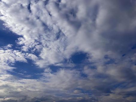 【風景写真】夏空 【風景写真】夏空の写真