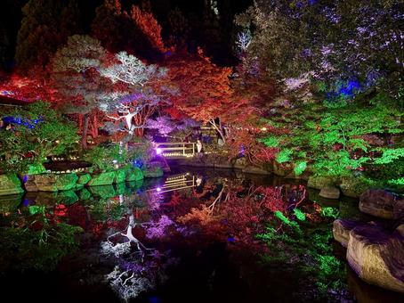 越前陶芸村　陶あかり　福井県陶芸館 福井県陶芸館,幽石庭,灯火の写真素材
