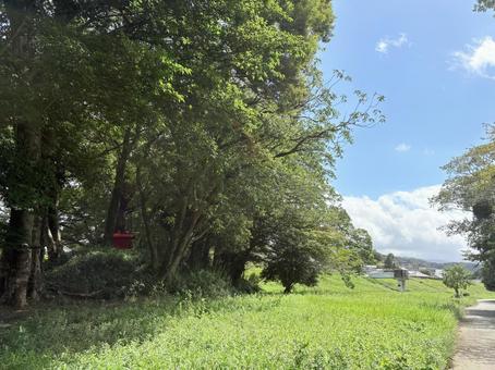 木漏れ日の祠 木漏れ日の祠 自然,風景,青空の写真素材