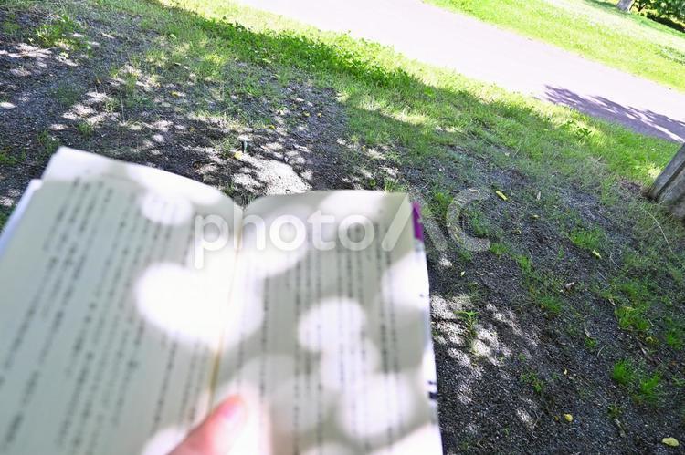 木漏れ日の読書 読書,木漏れ日,光の写真素材