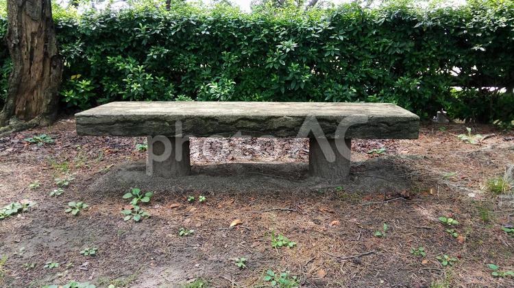 ベンチの写真　公園の隅の木製のベンチ ベンチ,自然,木製の写真素材