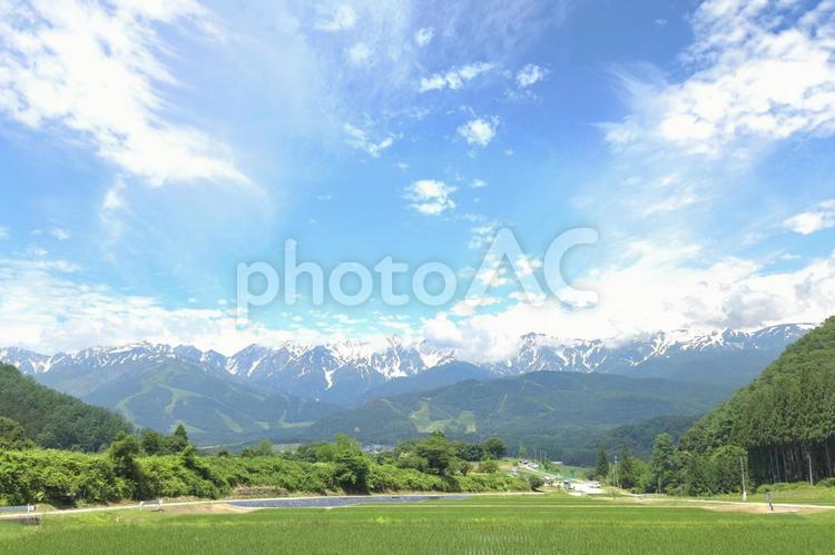 残雪の北アルプス 北アルプス,残雪,自然の写真素材
