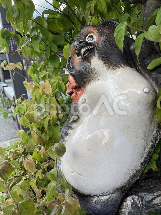 陶器でできたたぬきの置き物 たぬき,動物,置き物の写真素材