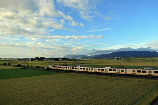 田園風景と電車 田園風景と電車 田園風景,稲穂,電車の写真素材