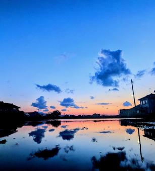 水田に映る茜色の空② 水田に映る茜色の空②の写真