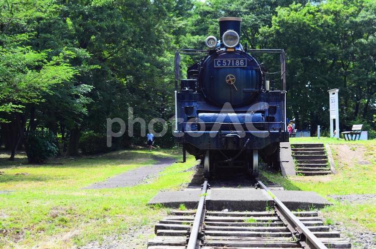 【東京・小金井公園】蒸気機関車・SL enjoy,holiday,tripの写真素材