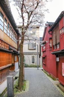 金沢 主計町茶屋街の路地(石川) 金沢 主計町茶屋街の路地(石川) 主計町,金沢,茶屋街の写真素材