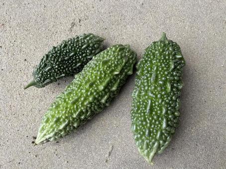 ゴーヤ ゴーヤ ゴーヤ,野菜,夏野菜の写真素材