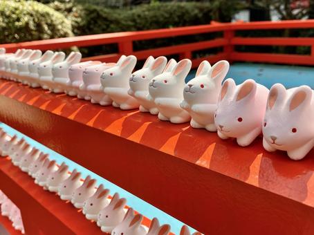 うさぎ うさぎ 京都,岡崎神社,観光の写真素材