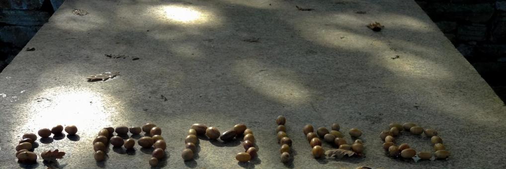 スペイン巡礼 カミーノ スペイン巡礼 カミーノの写真