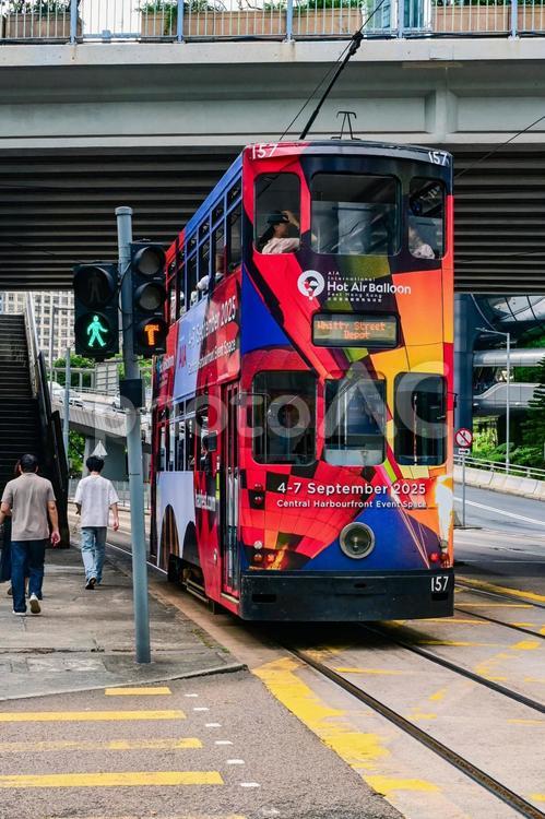 香港・二階建てトラム 香港,トラム,路面電車の写真素材