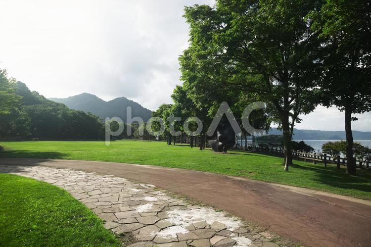 夏の公園風景 公園,芝生,夏の写真素材