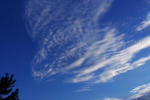 Photo, sky, blue sky, sunny, 