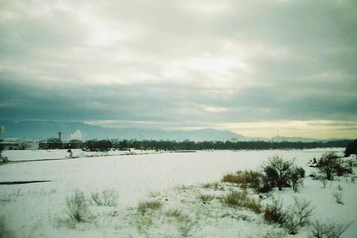 冬 冬の写真