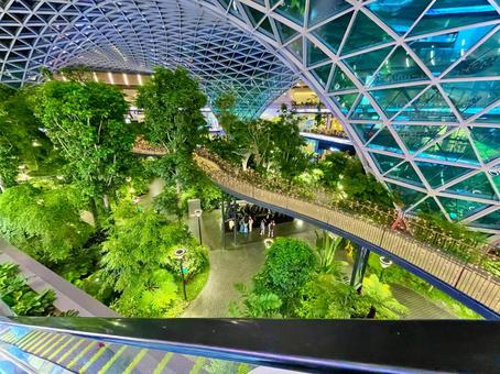 ドーハ、ハマド国際空港 ドーハ、ハマド国際空港の写真