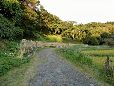 鎌倉中央公園・里山エリアの秋の風景 鎌倉中央公園・里山エリアの秋の風景 里山,田畑,田んぼの写真素材