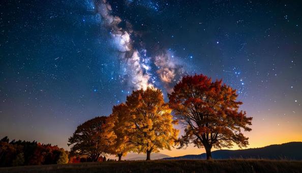 星降る夜と紅葉の並木の写真