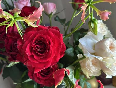 バラの花 バラの花の写真