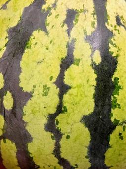 Photo, food, watermelon, striped pattern, 