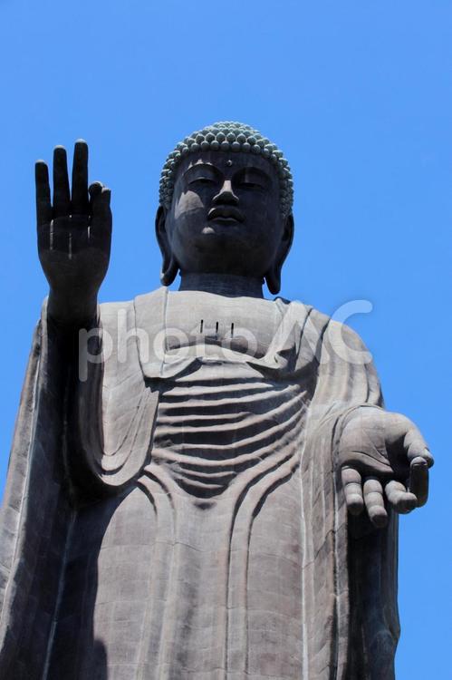 世界一の牛久大仏 牛久大仏,大仏,世界一の写真素材