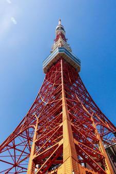 東京タワー 晴れた日 1 東京タワー 晴れた日 1 東京タワー,東京名所,東京観光の写真素材