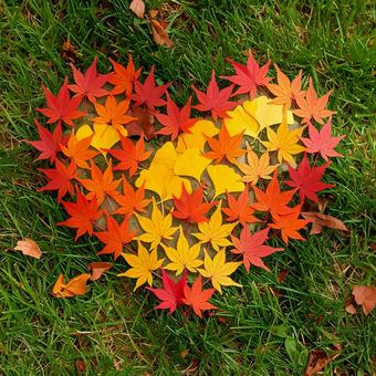 紅葉とイチョウのハート 紅葉とイチョウのハートの写真