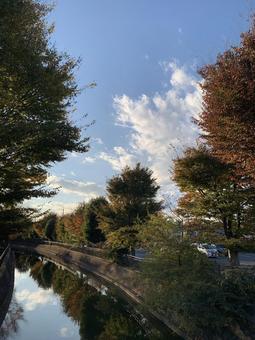 紅葉の川 紅葉の川 紅葉,秋,川の写真素材