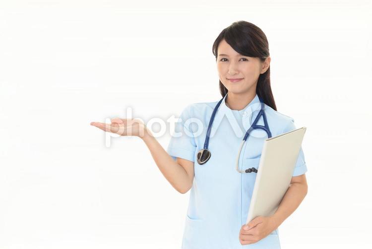 案内する看護師 女性,看護師,看護士の写真素材