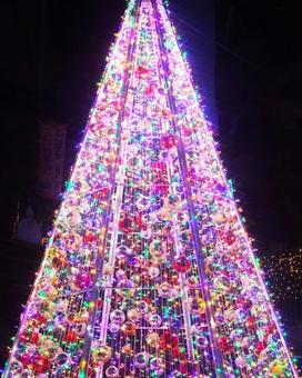 光輝くクリスマスツリーの写真