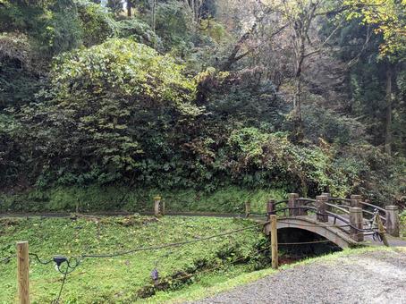 橋 橋の写真