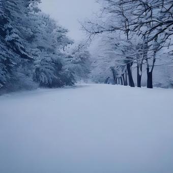 snow scene, JPG snow scene, 似雪, 景观, 雪域风光, JPG