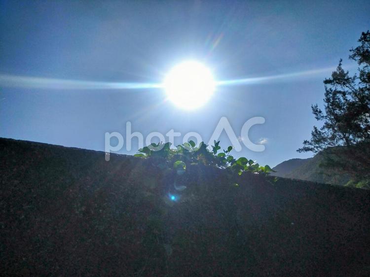 ビーチから見上げた塀と太陽 風景,景色,自然の写真素材