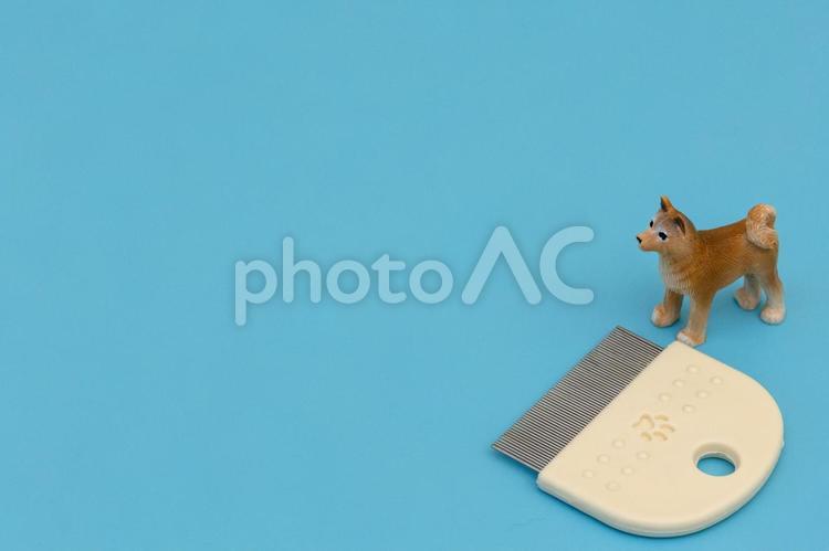 犬のノミ取り 犬,ノミ取り,ケアの写真素材