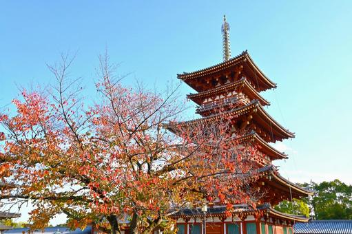 秋の薬師寺西塔 薬師寺,西塔,三重塔の写真素材