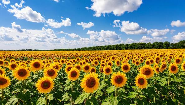 F_Stockphoto_8 F_Stockphoto_8の写真