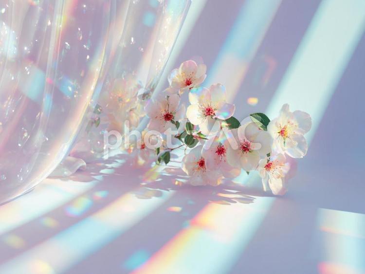 幻想的な桜の背景（壁紙）　プリズム　 桜,背景,プリズムの写真素材