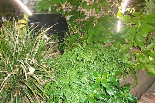 花壇 花壇,お花,街並みの写真素材