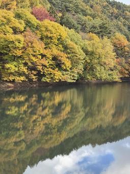 晩秋の大沢の堤の紅葉の写真