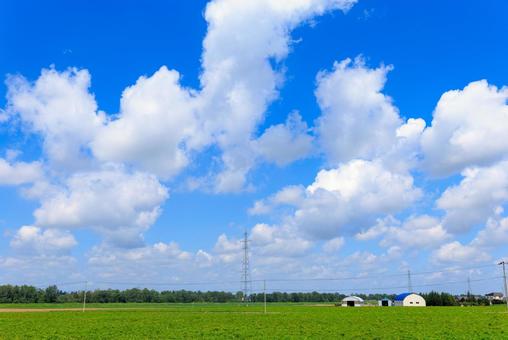 青空と雲 青空,雲,白い雲の写真素材