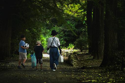 ＜素材＞夏のイチョウ並木を散歩する家族 家族,女性,子供の写真素材