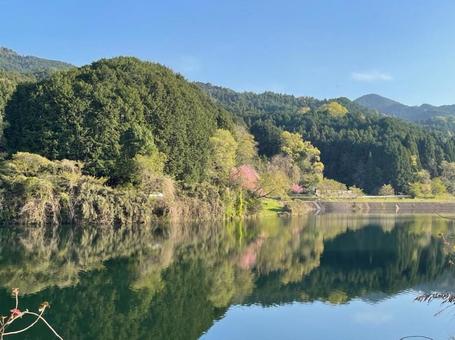 水鏡　池　山桜　青空　春　景色　風景の写真