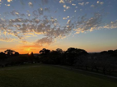 夕日 夕日の写真