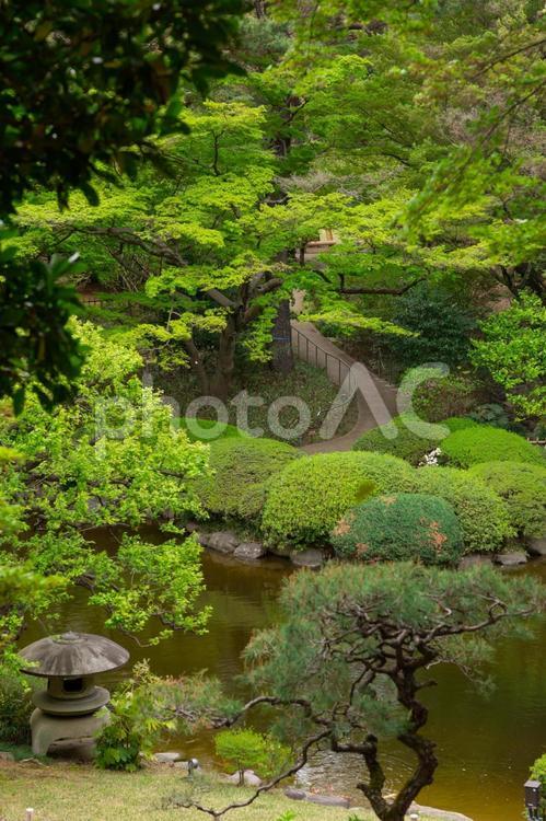 日本庭園の散策路 日本庭園,散策路,庭園の写真素材